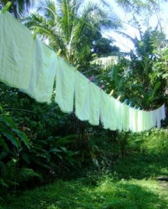 Cloth nappies on the line Cloth nappies on the line