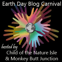 Blog Carnival Image 5