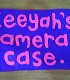 The Birthday Camera and the Homemade Felt Case.